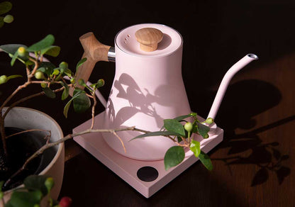 Fellow Stagg EKG PRO Electric Kettle - White